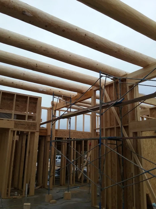 House Framing