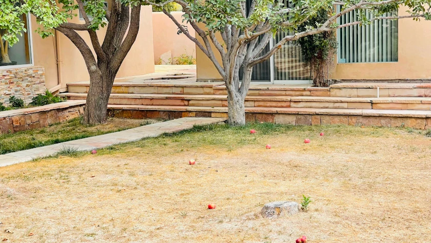 Stone Steps & Patio